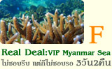 Real Deal VIP Myanmar Sea 3วัน2คืน