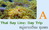 Thai Bay Line: Day Trip หมู่เกาะเวียง