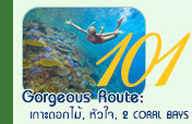 Gorgeous Route: ทะเลพม่า ทัวร์วันเดียว เกาะดอกไม้ หัวใจ 2 Coral Bays
