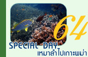 Special Day ทัวร์เหมาลำไปหมู่เกาะพม่า